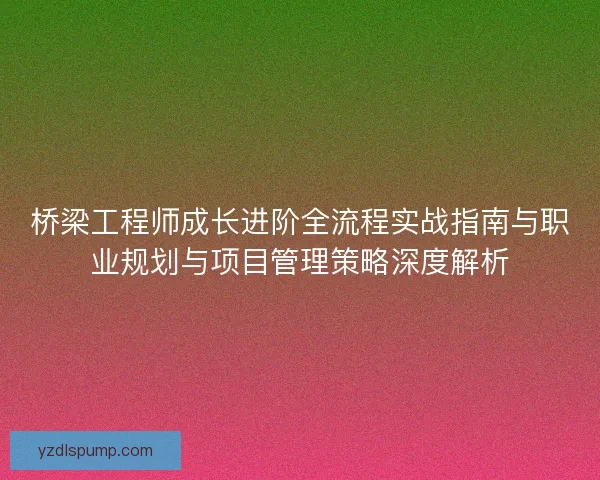 桥梁工程师成长进阶全流程实战指南与职业规划与项目管理策略深度解析