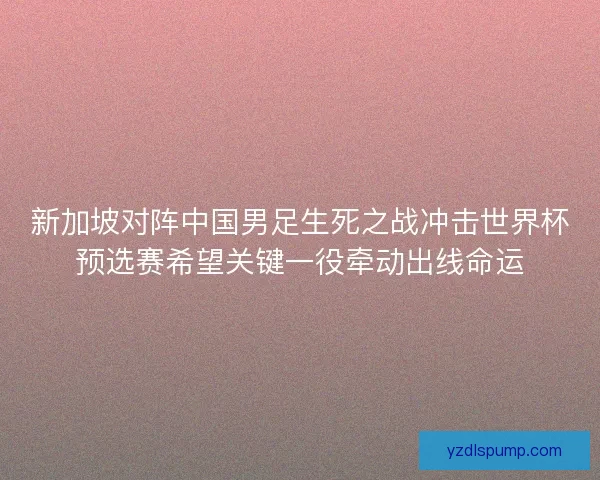 新加坡对阵中国男足生死之战冲击世界杯预选赛希望关键一役牵动出线命运